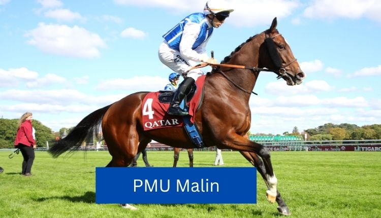 PMU-Malin