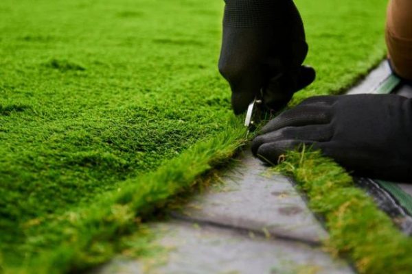 Boss Turf