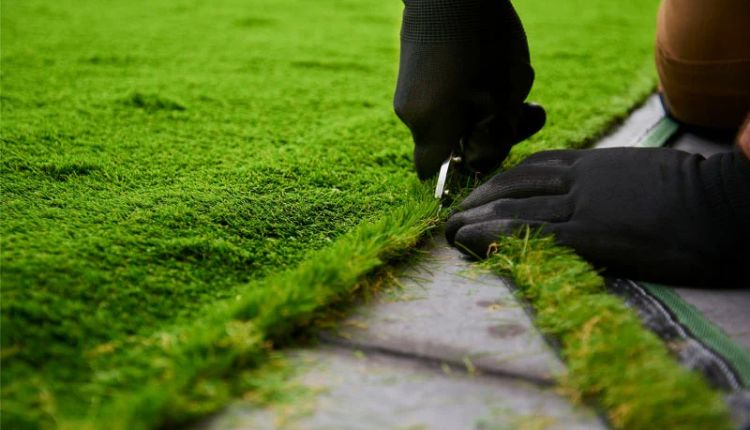 Boss Turf