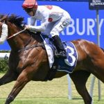 The World Of Messiturf10 And Its Online Turf Betting Impact