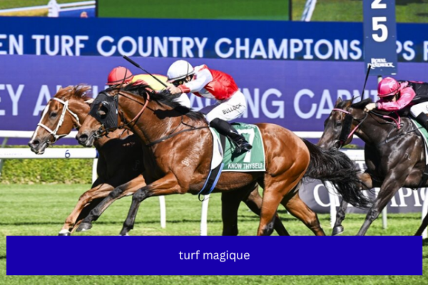 turf magique