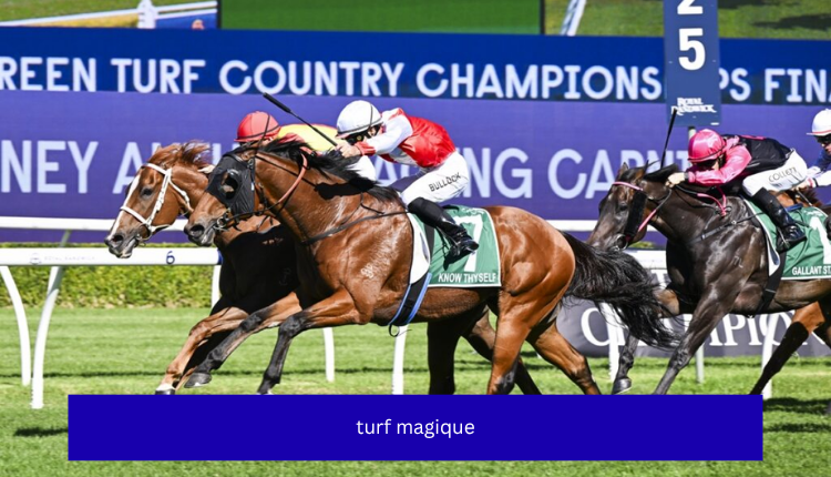 turf magique