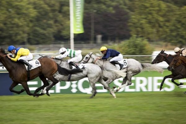 Filière Turf