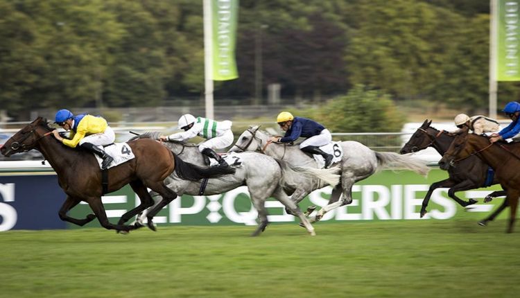 Filière Turf