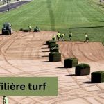 Filière Turf System Behind Horse Racing Strategy