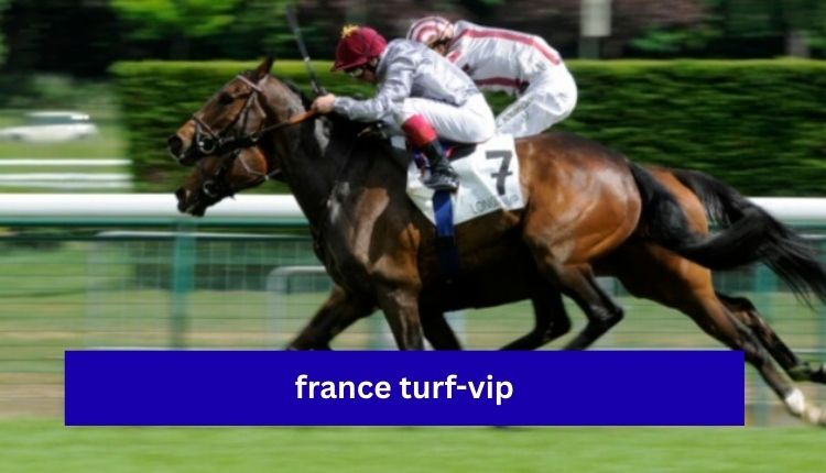 France Turf-VIP Guide To Premier Horse Racing Experiences