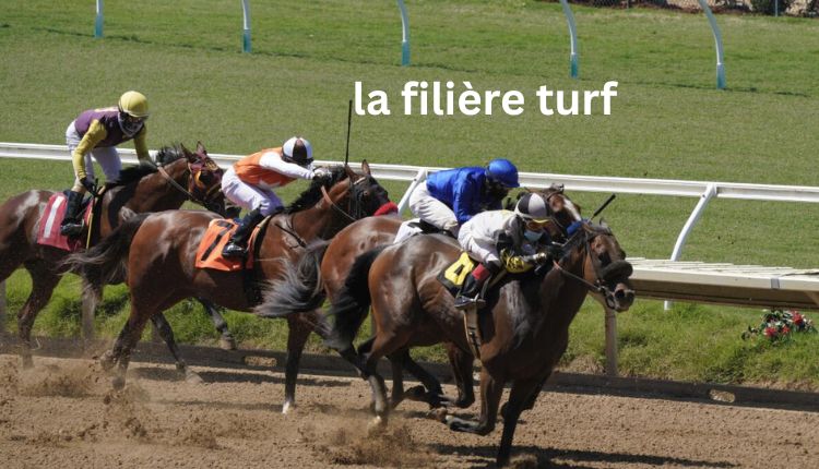 La Filière Turf: The Dynamics Of The Horse Racing Industry