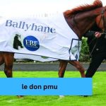 Le Don PMU Guide To Mastering French Horse Betting Success