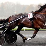 PMU Continent Rise Of Online Horse Betting Across Borders