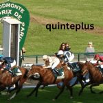 Quinteplus Guide To France’s Popular Horse Racing Bet