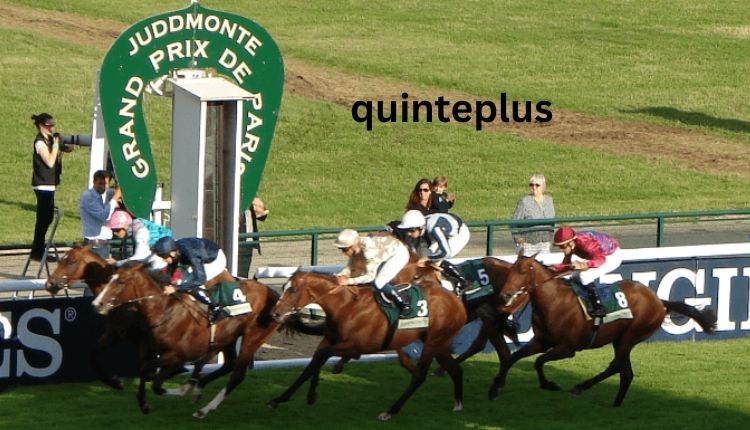 Quinteplus Guide To France’s Popular Horse Racing Bet