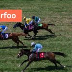 Turfoo Digital Hub For Horse Racing Enthusiasts