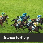 France Turf VIP Exclusive Insights Into Elite Horse Racing