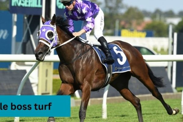 le boss turf