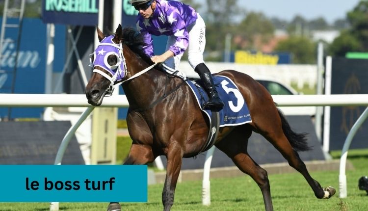 le boss turf