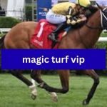 Magic Turf VIP Guide To Premium Gaming