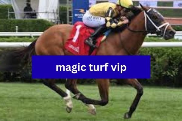 magic turf vip