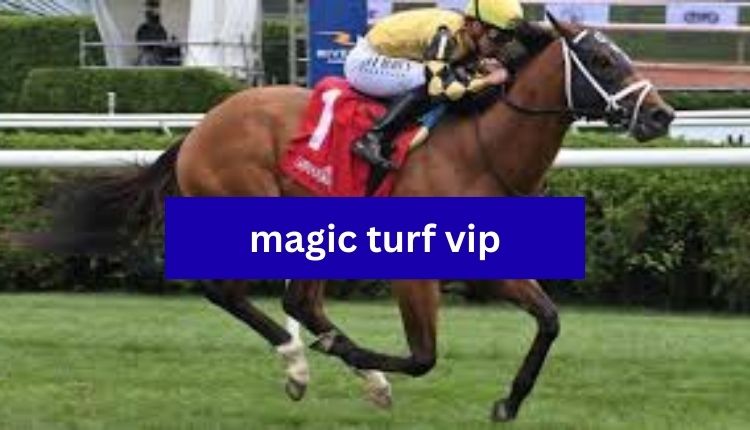 Magic Turf VIP Guide To Premium Gaming