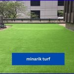 Minarik Turf: Guide to Quality Turf Solutions