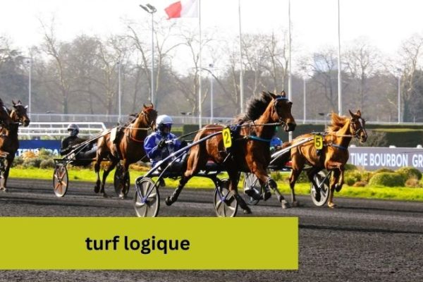 turf logique