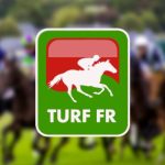 Turfmagique Future Of Sustainable Turf Solutions