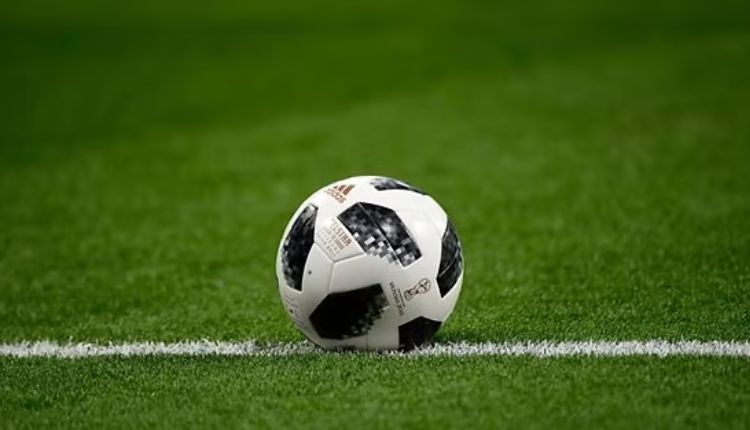 Selection Turf Choices In Sports Betting