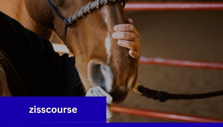 zisscourse