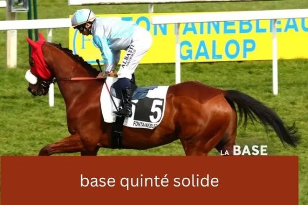 base-quinte-solide