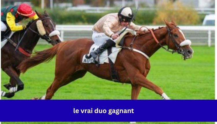 Le Vrai Duo Gagnant And The Power Of Perfect Partnerships