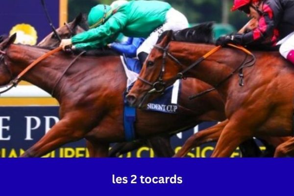 les 2 tocards