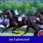 Les 5 Pions Turf Strategies For Modern Horse Racing Enthusiasts