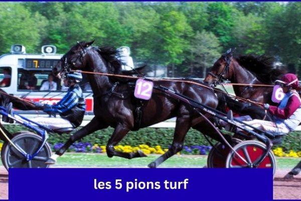 les 5 pions turf