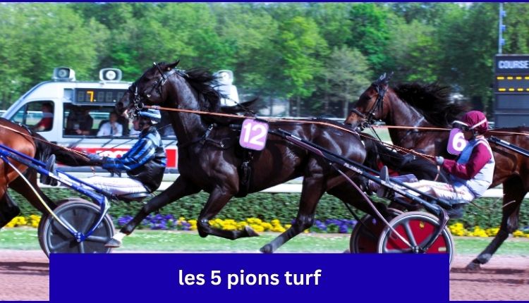 les 5 pions turf