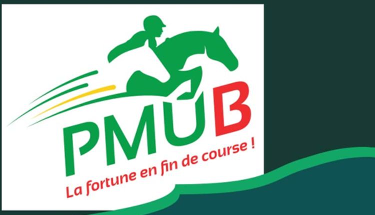 PMU Burkina: A Comprehensive Overview