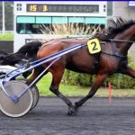 Pmumalin 07 and Its Growing Popularity In The Digital World