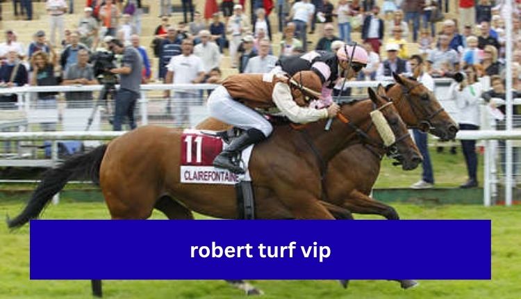 Robert Turf VIP The Rising Trend In Online Betting Circles