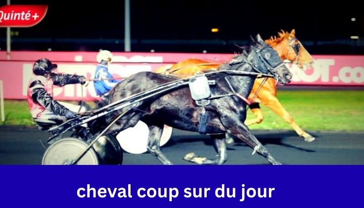 cheval coup sur du jour