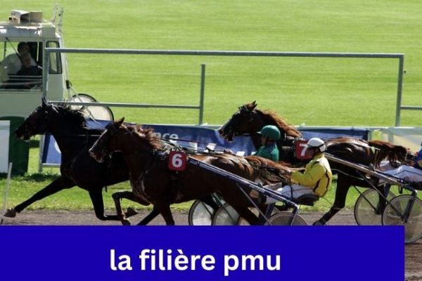 la filière pmu