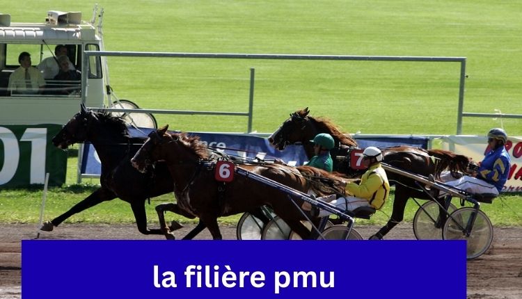 la filière pmu