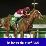 Le Boss Du Turf 365 Online Horse Racing Predictions