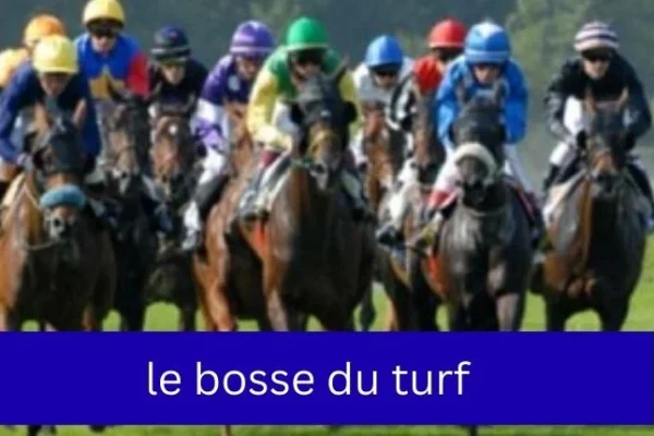 le bosse du turf