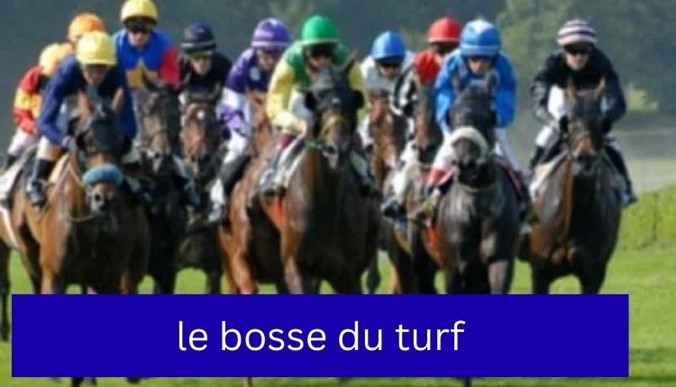 le bosse du turf