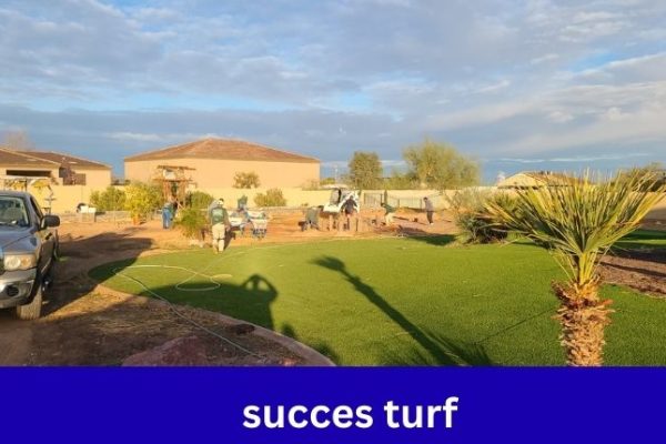 succes turf