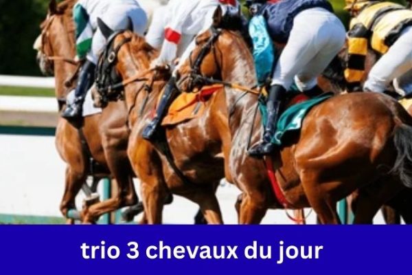 Trio 3 Chevaux Du Jour
