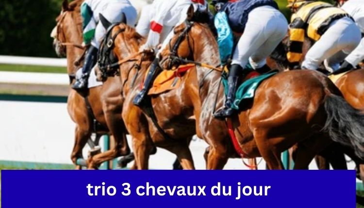 Trio 3 Chevaux Du Jour