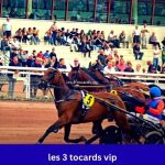 Les 3 Tocards VIP