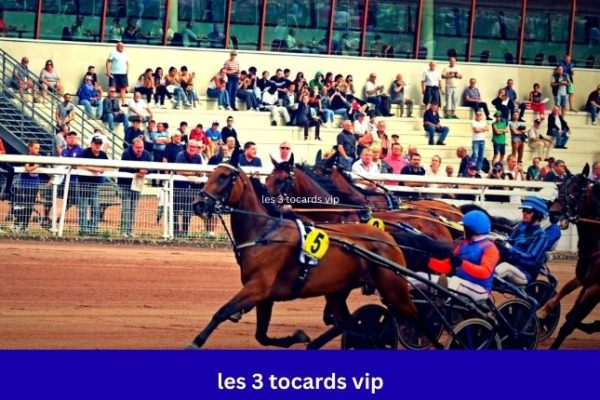 les 3 tocards vip