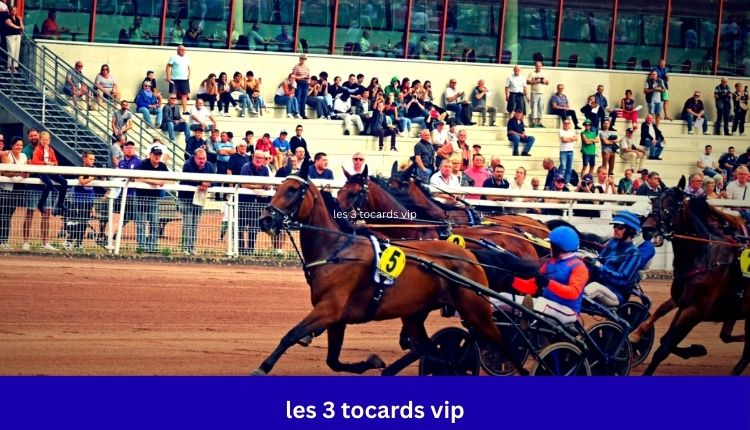 les 3 tocards vip