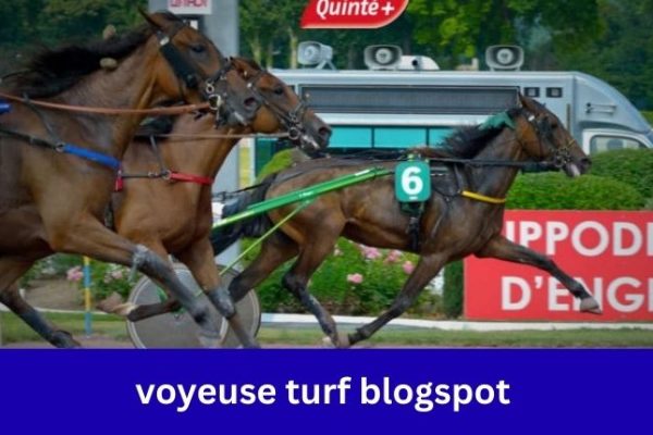 voyeuse turf blogspot