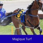 Magique Turf